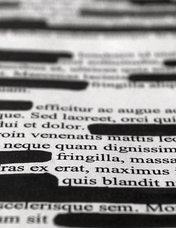 Redacted Document