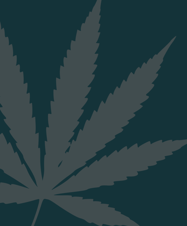 marijuana