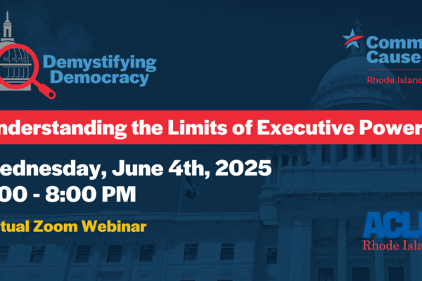 Demystifying Democracy: Understanding the Limits of Executive Power