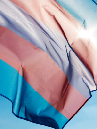 White, pink, and blue trans pride flag against a blue sky