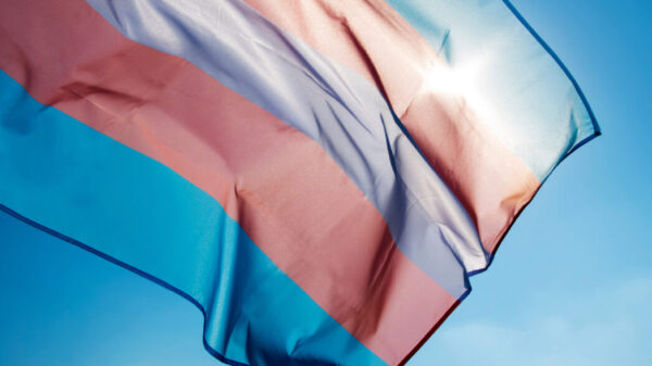 White, pink, and blue trans pride flag against a blue sky
