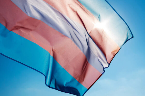 White, pink, and blue trans pride flag against a blue sky