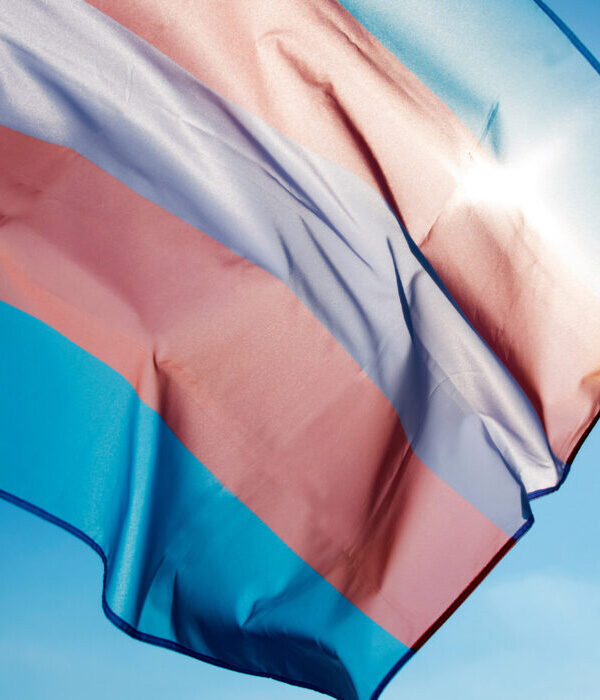 White, pink, and blue trans pride flag against a blue sky