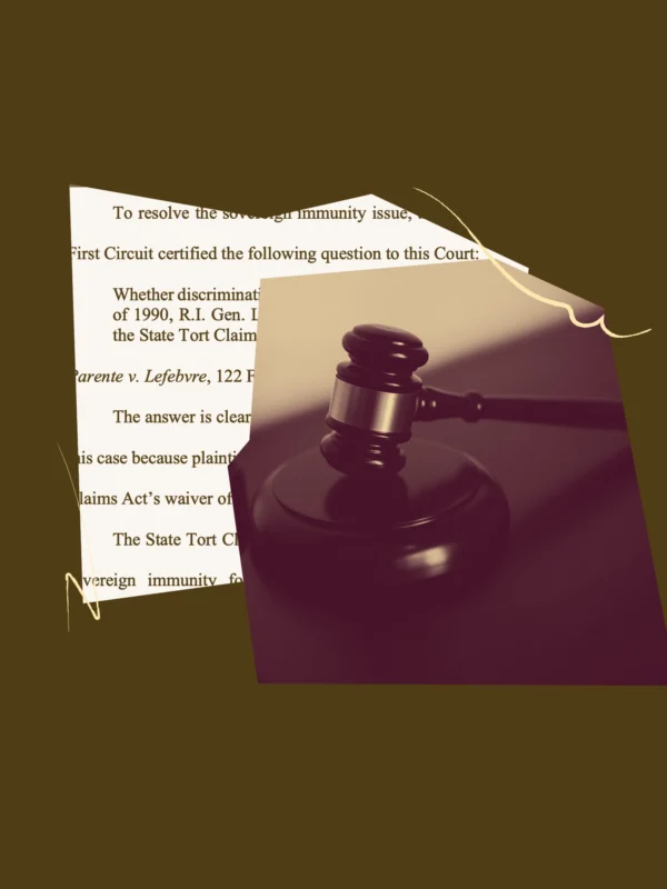 Brown and dark red graphic of a gavel and screenshot of an amicus brief.