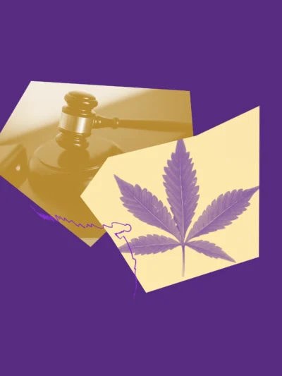 Purple and yellow images of a gavel and a hemp leaf.