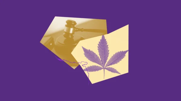 Purple and yellow images of a gavel and a hemp leaf.