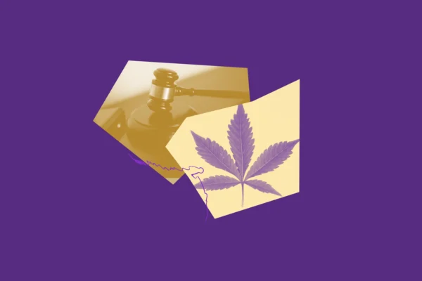 Purple and yellow images of a gavel and a hemp leaf.