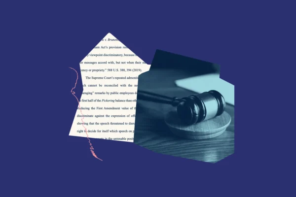 Dark blue background with a shape of text from the amicus brief overlapped with a dark and light blue gavel. A pink squiggle line accents the left of the shape with the text.