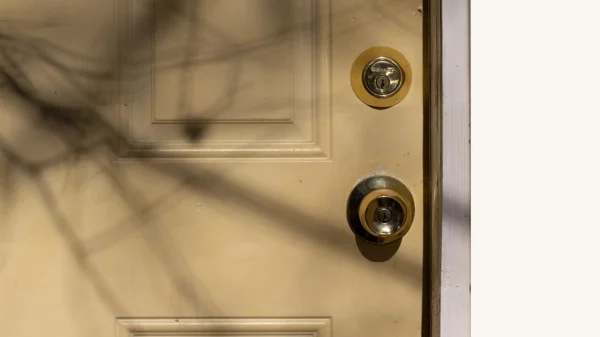 Image of white front door with shadow of branches on the left side.