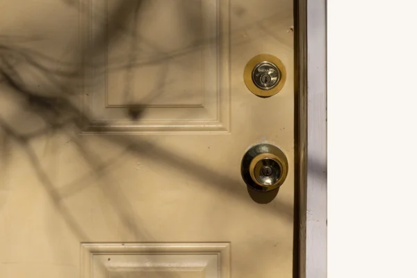 Image of white front door with shadow of branches on the left side.