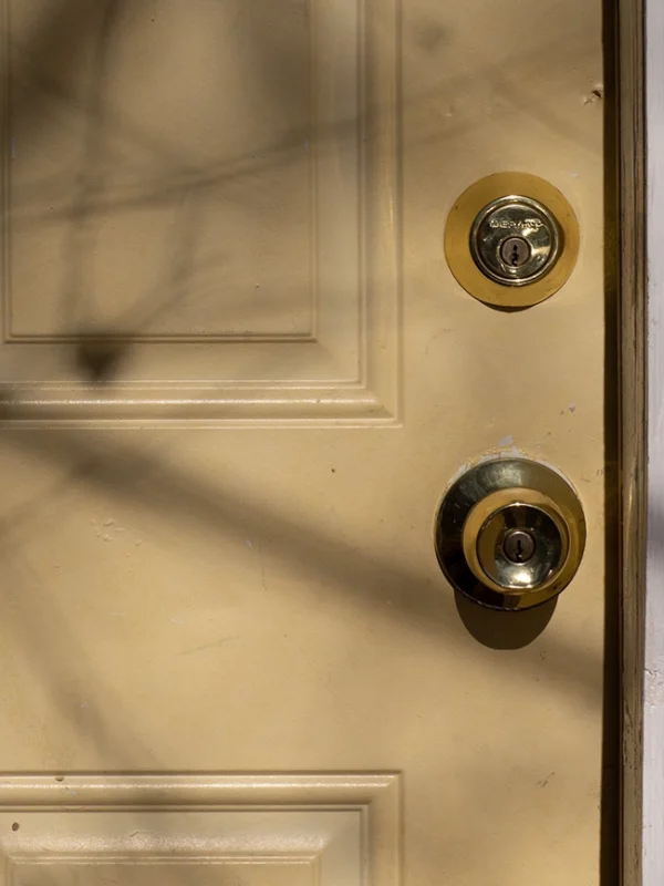 Image of white front door with shadow of branches on the left side.