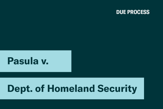 Pasula v. Department of Homeland Security